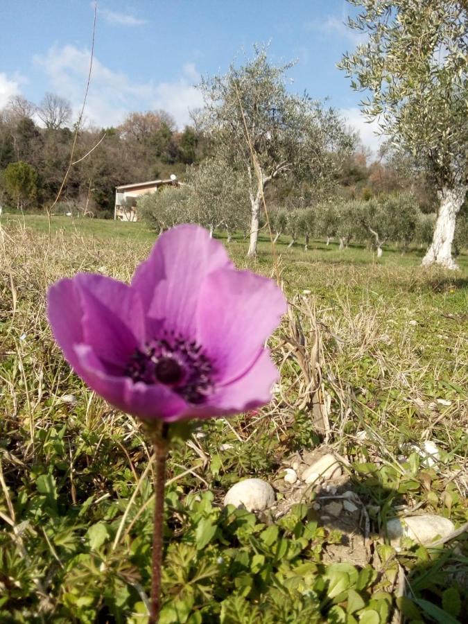 The Country Path B&B Toffia エクステリア 写真